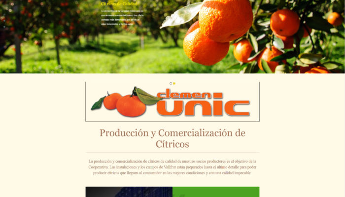 Nueva Web de Citricos en La Vall D’Uixó http://vallfrut.com/ +Autoadministrable +Tienda Online